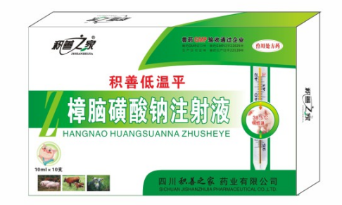 樟腦磺酸鈉注射液.png