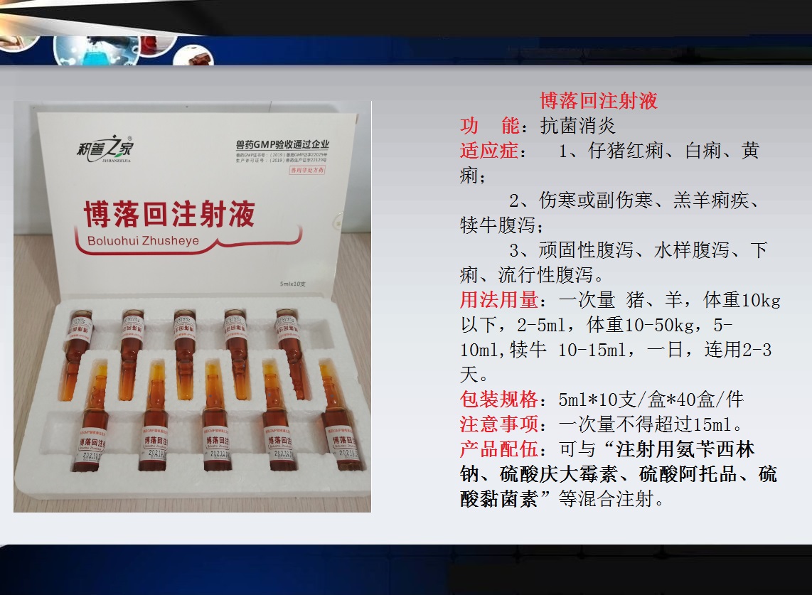 53、博落回注射液.jpg