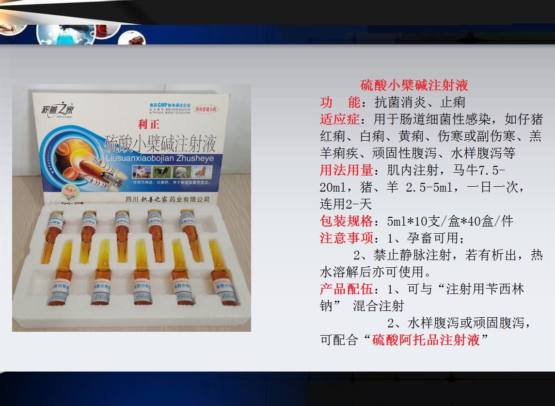 55、硫酸小檗堿注射液.jpg