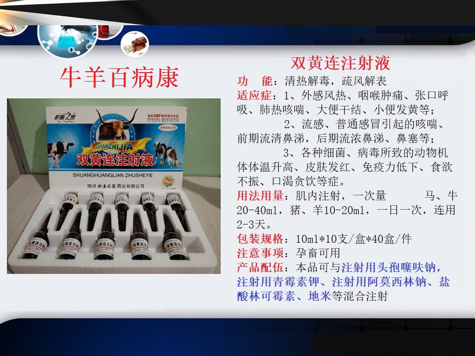 56牛羊百病康（雙黃連注射液）.jpg