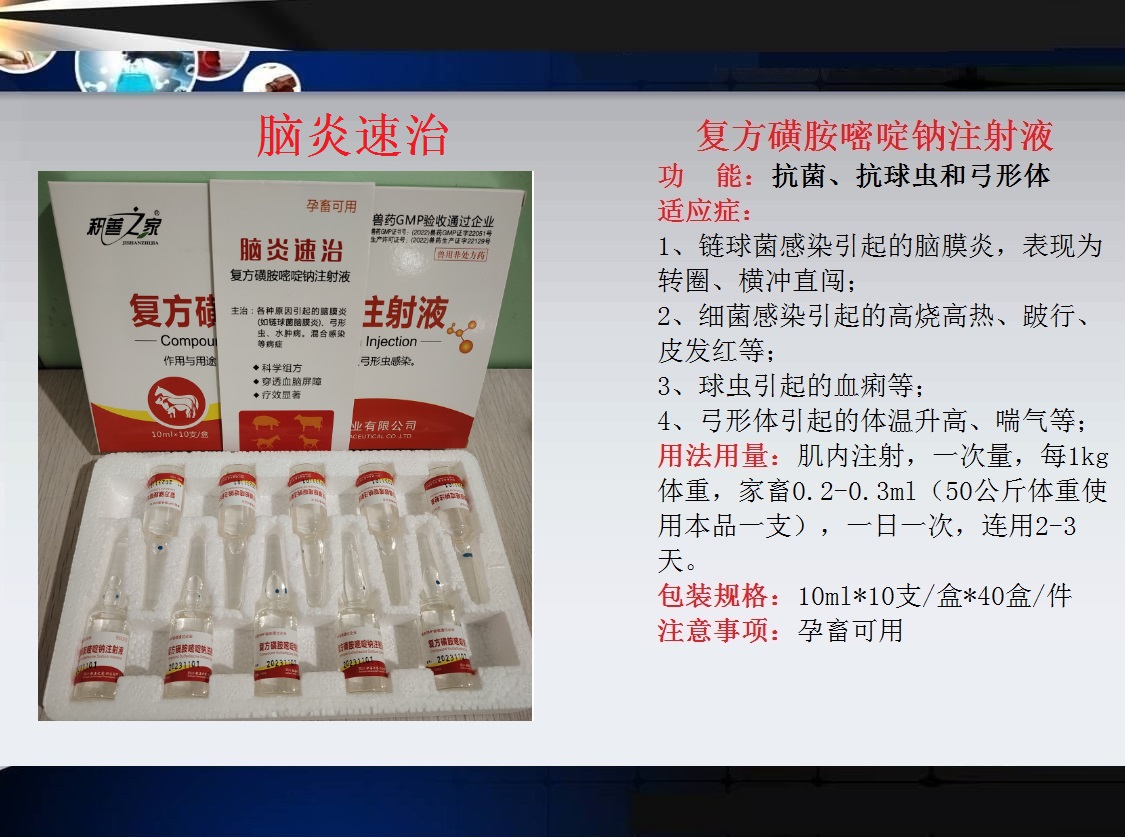66、腦炎速治（復方磺胺嘧啶鈉注射液）.jpg